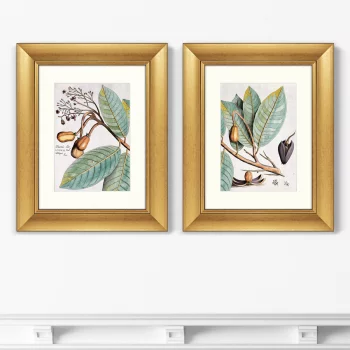 Диптих Exotic plants of the world 41X51 / 41X51 CM