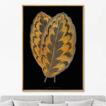 Постер на холсте Calathea Veitchiana leaf 75X105 CM