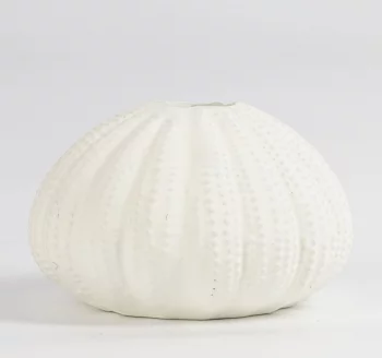 Подсвечник Seashell 11X11X7 CM