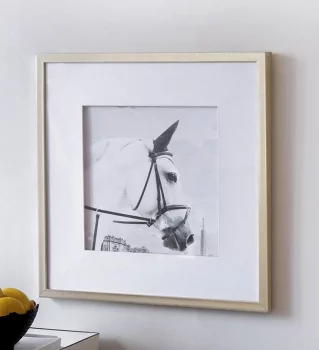 Комплект из двух постеров Horses 56X56 / 56X56 CM