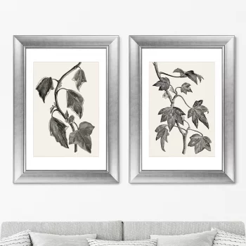 Диптих Pustulata from The Ivy 51X71 / 51X71 CM