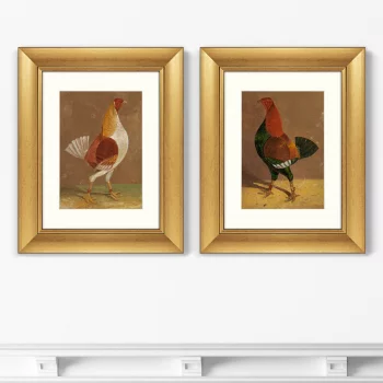 Диптих Fighting Cocks 41X51 / 41X51 CM