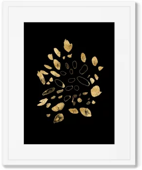 Постеры Flowers in the night 42X52 / 42X52 CM