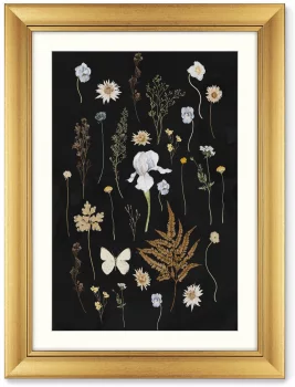 Диптих Flower herbarium No2 61X81 / 61X81 CM
