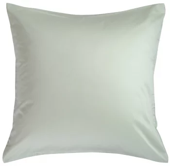 Набор из двух сатиновых наволочек Wild 70X70 CM мятного цвета