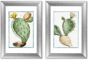 Диптих Semaphore Prickly Pear 51X71 / 51X71 CM