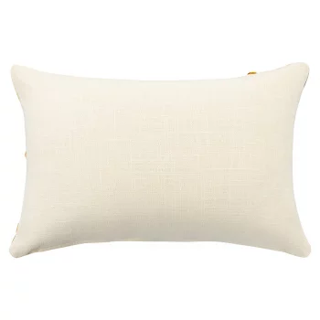Чехол на подушку Дюны из коллекции ethnic, 30х45 см
