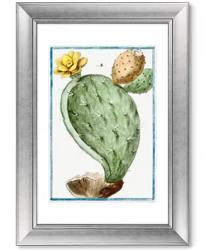 Диптих Semaphore Prickly Pear 51X71 / 51X71 CM