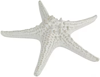 Блюдо для подачи Frutti di Mare Ø24 CM