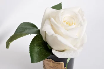 Диффузор Rose Bud White Rose Oud 8X8X14 CM