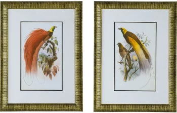 Диптих Birds of Paradise 60X80 / 60X80 CM
