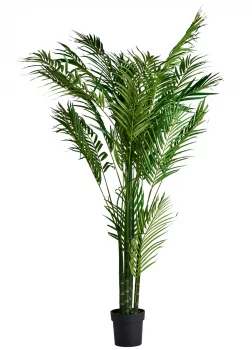 Искусственная пальма Palmera 50X40X210 CM