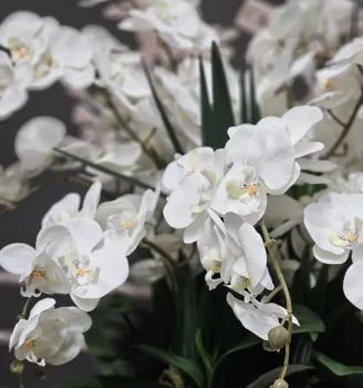Аромадифузор Luxury Orchid 60X60X74 CM