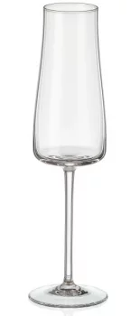 Бокал для шампанского Alex 210 ml