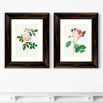 Диптих Antique plants drawn 41X51 / 41X51 CM