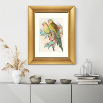 Постер Love parrots 41X51 CM