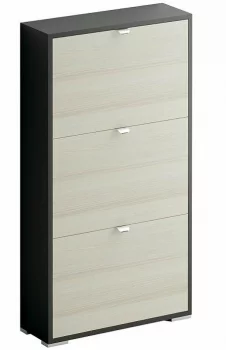 Шкаф для обуви Reggy 60X20X112 CM