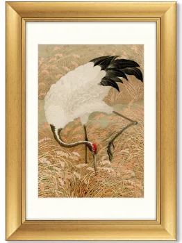 Постер Sarus crane in rice field 51X71 CM