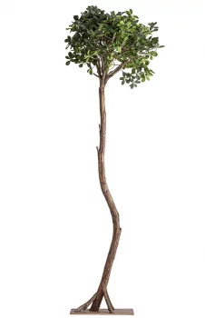 Искусственное растение Ficus 70X70X230 CM