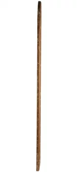 Зеркальный декоративный элемент Amelia 60X200 CM