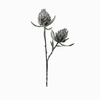 Декор Protea