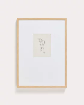 Картина с ботанической иллюстрацией Lirena 50X70 CM