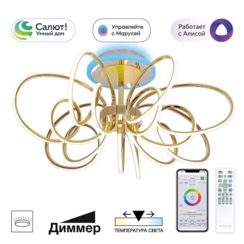 Потолочный светодиодный светильник Salma Smart