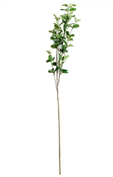 Листья растения Ficus 10X10X88 CM