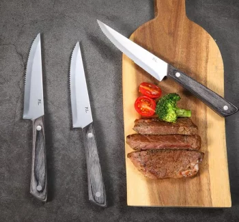 Нож для стейка Garwin 22 CM