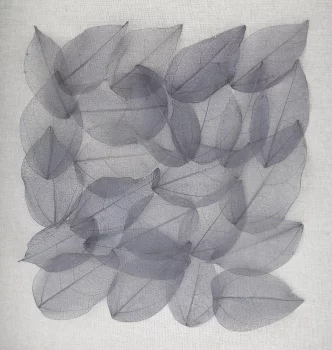 Ассамбляж Leaf 30X30 CM