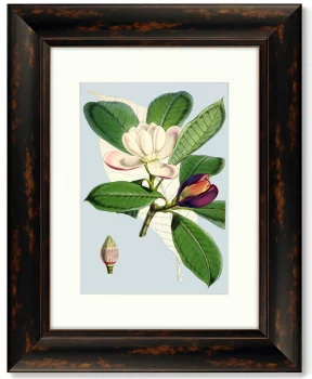 Постер Purple And White Flowers 41X51 CM