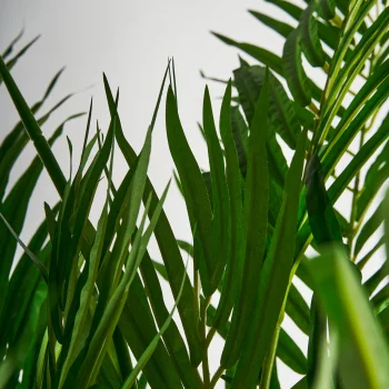 Искусственная пальма Palmera 50X40X210 CM
