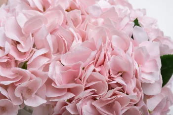 Аромадиффузор с искусственными цветами и спреем Hydrangea & Rosebud pink 15X22X15 CM