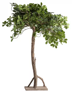 Искусственное растение Ficus 50X50X90 CM