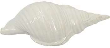 Декор настольный Seashell 31X15X11 CM