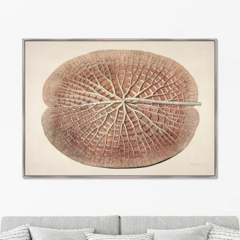 Постер Leaf of a gigantic water lily 105X75 CM