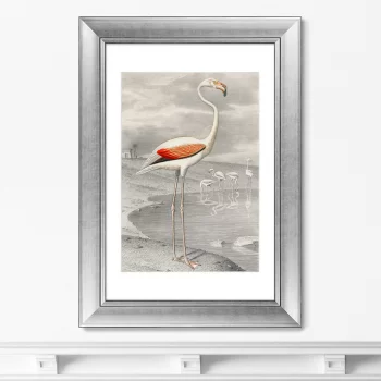 Постер Le Flammant 51X71 CM