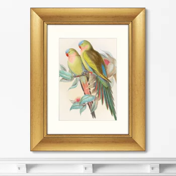 Постер Love parrots 41X51 CM