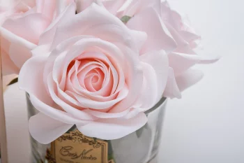 Диффузор Five Rose Pink 18X18X16 CM
