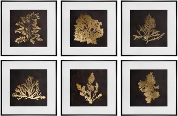 Набор из шести принтов Botanic 60X60 / 60X60 / 60X60 / 60X60 / 60X60 / 60X60 CM