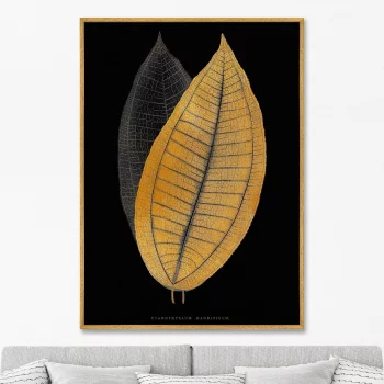 Постер на холсте Calophyllum inophyllum leaf 75X105 CM