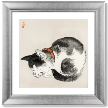 Постер Sleeping cat 61X61 CM