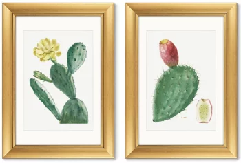 Диптих Cactus Opuntia Inermis 51X71 / 51X71 CM