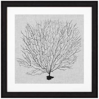 Постеры Shadow Sea Fans 62X62 / 62X62 / 62X62 / 62X62 CM