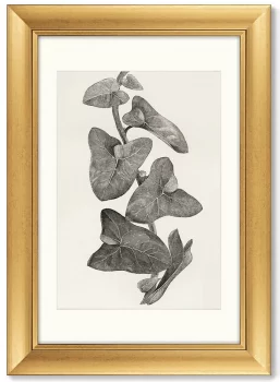 Диптих Melanocarpa from The Ivy 51X71 / 51X71 CM