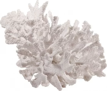 Декор Coral 24X22X18 CM