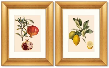 Диптих Juicy fruit lithography 41X51 / 41X51 CM
