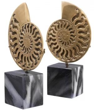 Фигурки Ammonite 17X9X29 / 17X9X29 CM