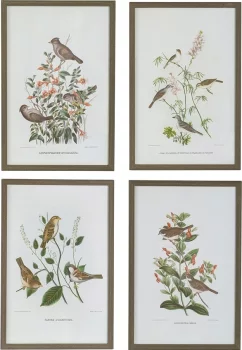 Постеры Birds 40X60 / 40X60 / 40X60 / 40X60 CM