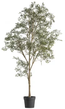 Искусственное растение Olivo 100X100X200 CM